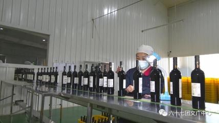 六十七團:延伸釀酒葡萄全產(chǎn)業(yè)&ldquo;鏈動&rdquo;區(qū)域經(jīng)濟大發(fā)展