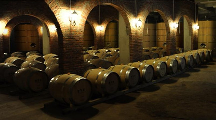 【看長江之變】生態君子谷:綠色山谷里的甜蜜事業