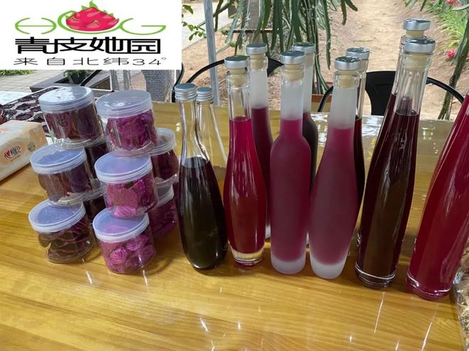 王艷:大膽開(kāi)拓 創(chuàng)新火龍果&ldquo;南果北種&rdquo;產(chǎn)業(yè)鏈新模式