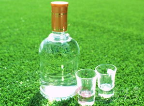 濟(jì)陽縣食藥監(jiān)局對(duì)時(shí)令食品進(jìn)行嚴(yán)格檢查